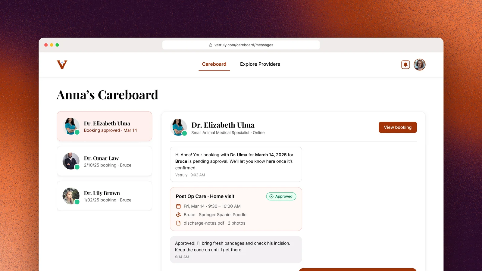 Anna's Careboard, listing three vets on the left and a thread with Dr. Ulma showing an approved post-op home visit for Bruce